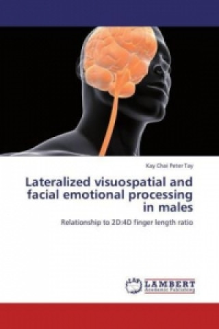 Lateralized visuospatial and facial emotional processing in males