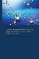 Comportement Thermique Des Geopolymeres A Base d'Une Argile Kaolinite