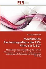 Mod lisation Electromagn tique Des Fsss Finies Par La Sct