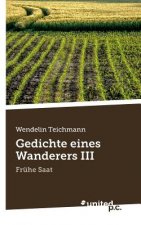 Gedichte eines Wanderers III