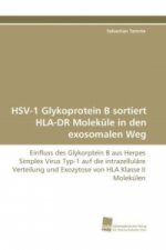HSV-1 Glykoprotein B sortiert HLA-DR Moleküle in den exosomalen Weg