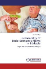 Justiciability of Socio-Economic Rights in Ethiopia