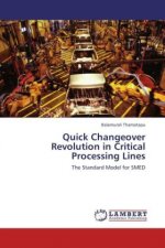 Quick Changeover Revolution in Critical Processing Lines