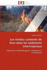 Les R sidus Carbon s de Feux Dans Les S diments Intertropicaux