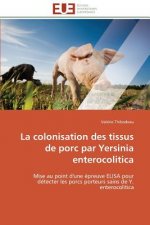 La Colonisation Des Tissus de Porc Par Yersinia Enterocolitica