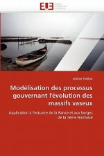 Modelisation des processus gouvernant l''evolution des massifs vaseux