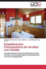 Estabilizacion Fisicoquimica de Arcillas con Zeolita