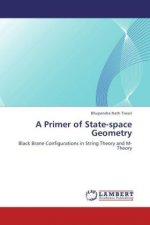 A Primer of State-space Geometry
