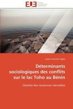 Determinants sociologiques des conflits sur le lac toho au benin