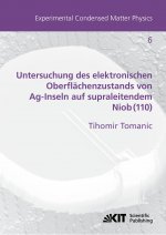 Untersuchung des elektronischen Oberflachenzustands von Ag-Inseln auf supraleitendem Niob(110)