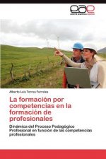 formacion por competencias en la formacion de profesionales