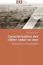 Caracterisation Des Cibles Radar En Mer