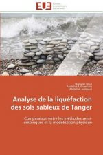 Analyse de la Liqu faction Des Sols Sableux de Tanger