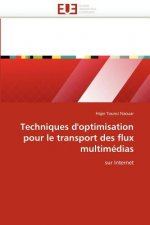 Techniques d''optimisation Pour Le Transport Des Flux Multim dias