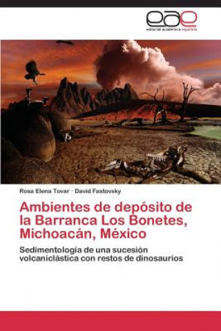 Ambientes de deposito de la Barranca Los Bonetes, Michoacan, Mexico