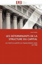 Les Determinants de La Structure Du Capital