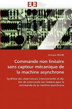 Commande Non Lin aire Sans Capteur M canique de la Machine Asynchrone