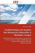 Probl matique de Gestion Des Ressources Naturelles   Multiples Usages