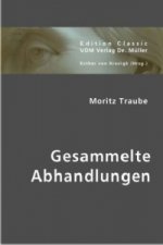 Gesammelte Abhandlungen