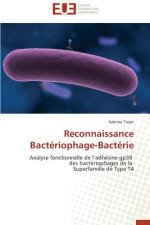 Reconnaissance bacteriophage-bacterie