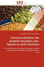 Commercialisation Des Produits Forestiers Non-Ligneux Au Sud Cameroun