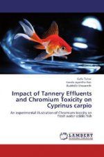 Impact of Tannery Effluents and Chromium Toxicity on Cyprinus carpio