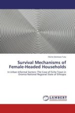Survival Mechanisms of Female-Headed Households