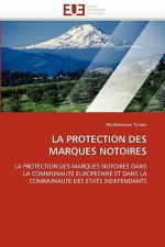 Protection Des Marques Notoires