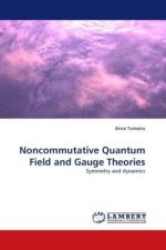 Noncommutative Quantum Field and Gauge Theories