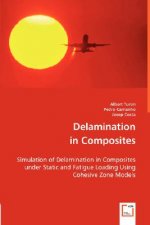 Delamination in Composites