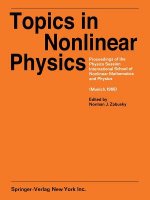 Topics in Nonlinear Physics