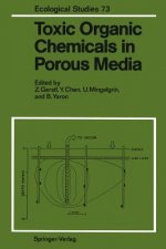 Toxic Organic Chemicals in Porous Media