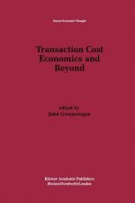 Transaction Cost Economics and Beyond