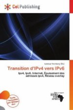 Transition D'Ipv4 Vers Ipv6