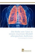 Rolle von Tyk2 in einem murinen Modell allergischen Asthmas