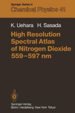 High Resolution Spectral Atlas of Nitrogen Dioxide 559-597 nm