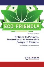 Options to Promote Investments in Renewable Energy in Rwanda