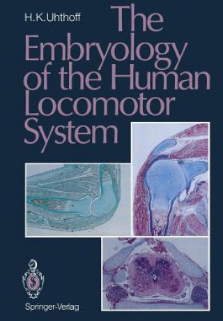 Embryology of the Human Locomotor System
