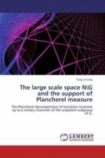 The large scale space NG and the support of Plancherel measure