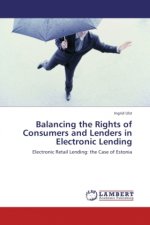 Balancing the Rights of Consumers and Lenders in Electronic Lending