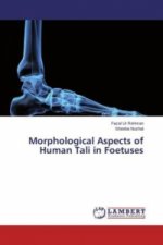 Morphological Aspects of Human Tali in Foetuses