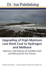 Upgrading of High Moisture Low Rank Coal to Hydrogen and Methane
