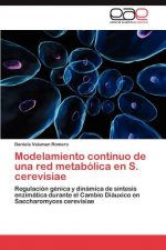 Modelamiento continuo de una red metabolica en S. cerevisiae