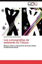 coreografias de ambiente en Toluca