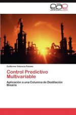 Control Predictivo Multivariable