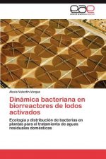 Dinamica bacteriana en biorreactores de lodos activados