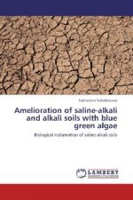Amelioration of saline-alkali and alkali soils with blue green algae