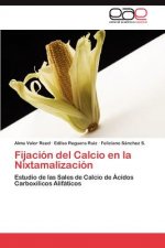 Fijacion del Calcio en la Nixtamalizacion