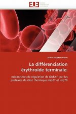 differenciation erythroide terminale