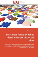 Les Cartes Fonctionnelles Dans Le Cortex Visuel Du Chat